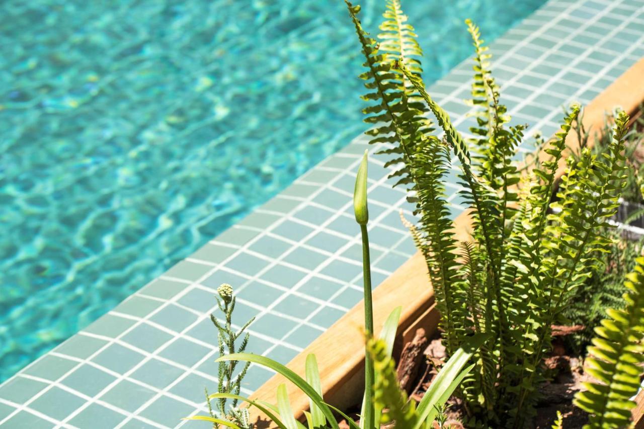 Costanero Hotel Montevideo - Mgallery Collection Eksteriør billede A swimming pool